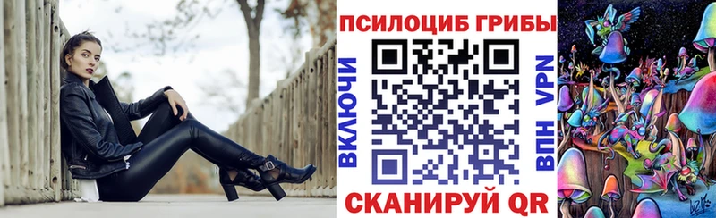 как найти наркотики  Кукмор  Псилоцибиновые грибы мицелий 